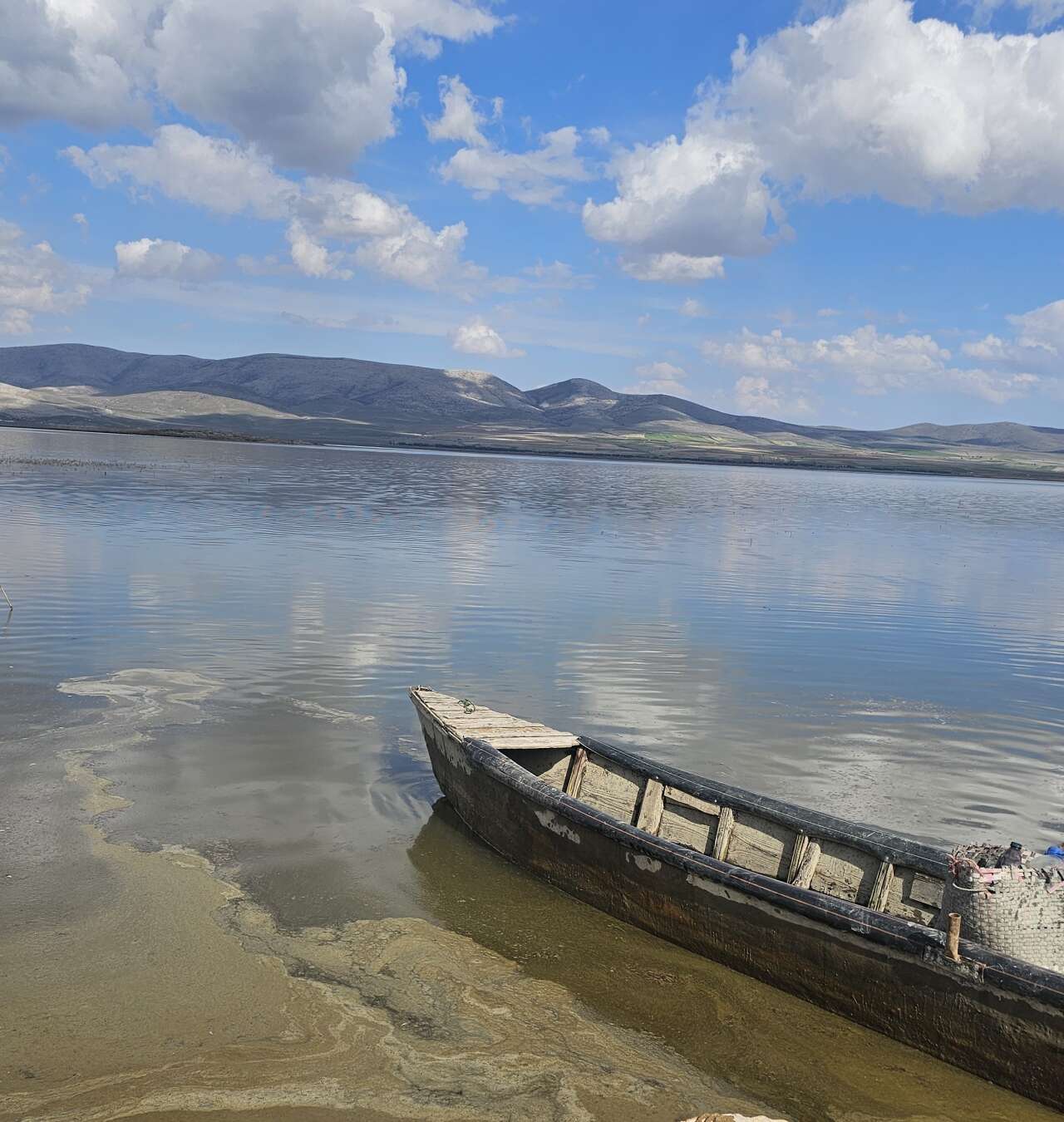 Konya’da kuraklığın vurduğu Çavuşçu Gölü, yaşama tekrar tutundu 10